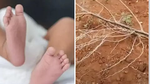 புதுக்கோட்டையில் பிறந்த குழந்தையை புதைக்க முயற்சி