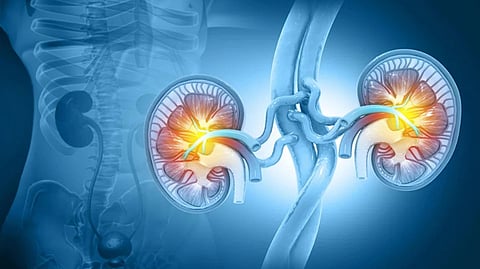 doctors adviced on kidneys safe doctors