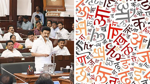 தமிழ்நாடு சட்டப்பேரவை, இந்தி மொழி