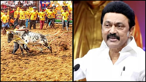 TN cm mk stalin announcement on best bull tamer government job