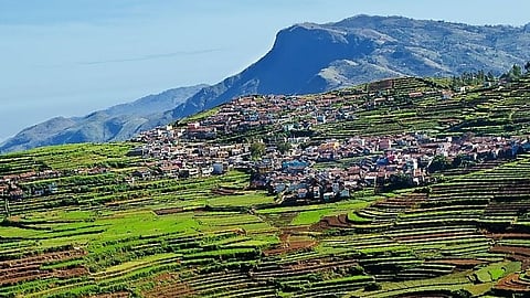 Theni