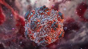 Hanta Virus Infection Rising Symptoms, Risks