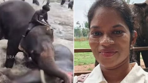 Kodagu Elephant Clash Turns Tragic: Woman and Elephant Die