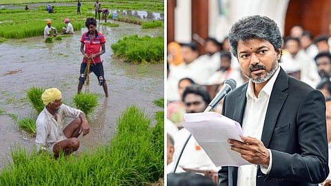 விவசாய பயிர்க்கடன் தள்ளுபடி