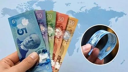 plastic money