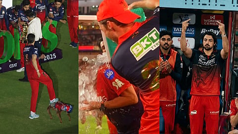tim david ban for 1 match in ipl 2027