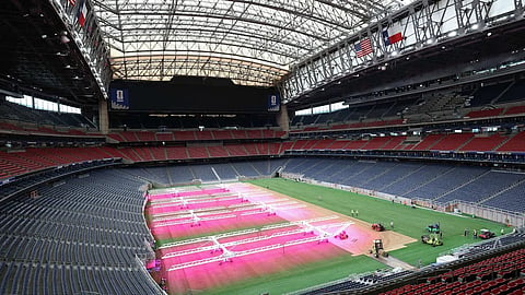Specially Prepared Turf for the FIFA World Cup