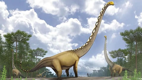 Cricket Pitch-Sized New Dinosaur Discovered! An Unbelievable Surprise!
