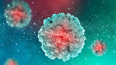 Cyclosporiasis outbreak hitting more than half of US