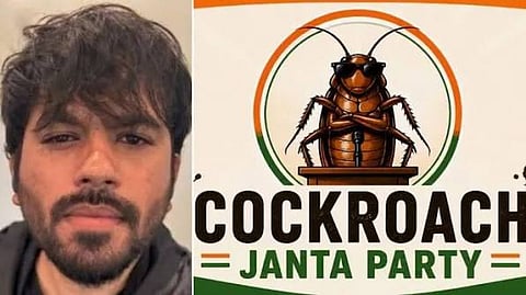 Cockroach Party