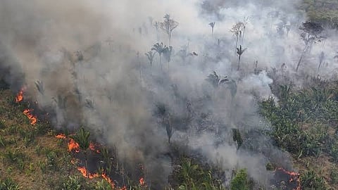 Wildfire Shows Its Horrifying Face, Devouring 2,300 Acres