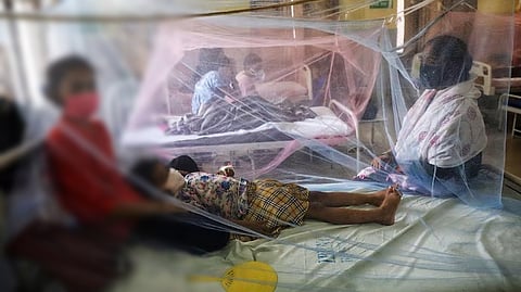 Tamil Nadu Dengue Cases Rise: Most Affected Districts