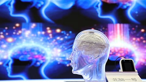 Human Brain May Have Evolved From Two Separate Neural Systems