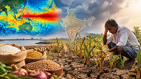 El Niño Threatens India’s Food Security, Columbia Study Warns