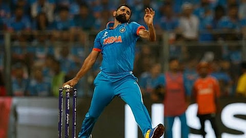 shami