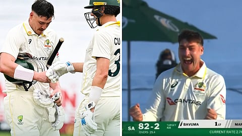 matt renshaw