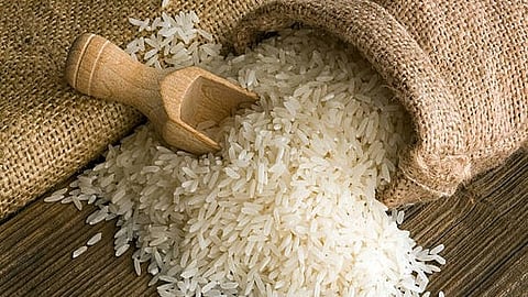 rice