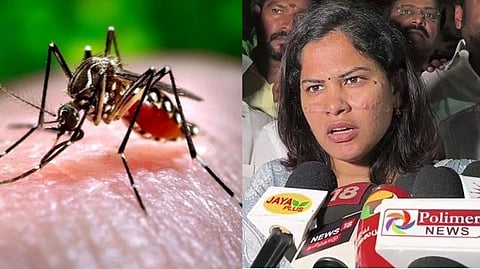 Chennai Mayor Priya Blames TVK for Rising Dengue Cases in Tamil Nadu