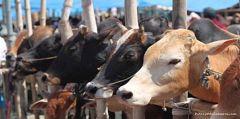 குஜராத்தில் மாடுவெட்டினால் ஆயுள் தண்டனை