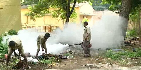 டெங்கு: சுகாதாரத் துறை எச்சரிக்கை
