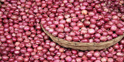 வெங்காயம் விலை அதிகரிக்கும்: மாநில அரசுகளுக்கு மத்திய அரசு எச்சரிக்கை