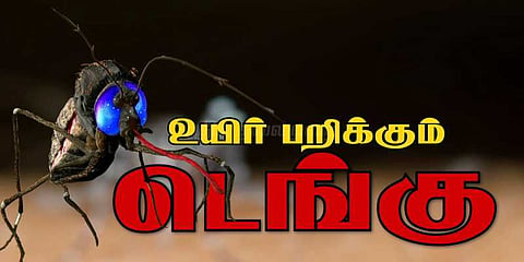தொடரும் டெங்கு மரணங்கள்: ஒரே நாளில் 16 பேர் உயிரிழப்பு