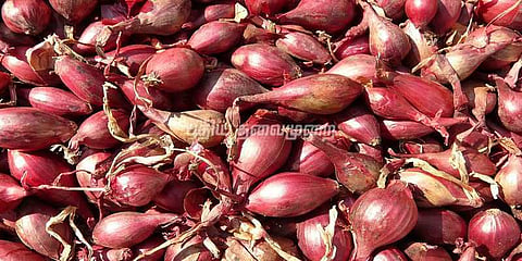 வயலில் அழுகிய சின்ன வெங்காயம்: விவசாயிகள் கவலை