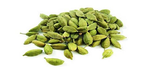 ஏலக்காய் விலை அதிகரிப்பு