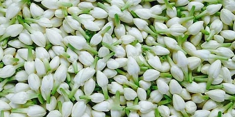 பூக்கள் விலை திடீர் உயர்வு