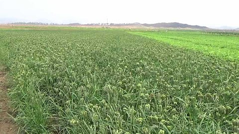 எரிபொருள் சேமிப்புக் கிடங்கு அமைக்க கிராம மக்கள் எதிர்ப்பு
