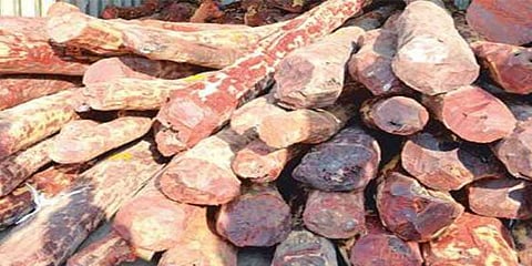 கலெக்டர் கார் பதிவு எண் கொண்ட காரில் செம்மர கடத்தல்