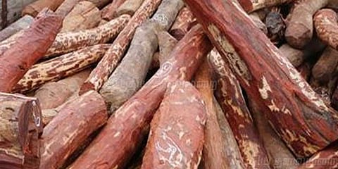 காரில் நூதனமாக கடத்தி வரப்பட்ட 300 கிலோ செம்மரங்கள் பறிமுதல்