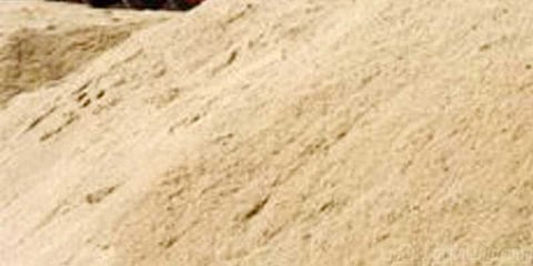 ஆற்றில் மூழ்கி மணல் திருடும் இளைஞர்கள் : அதிர்ச்சி.. அவலம்..