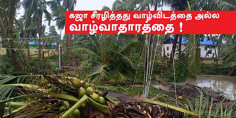 கஜா சீரழித்தது வாழ்விடத்தை அல்ல வாழ்வாதாரத்தை !