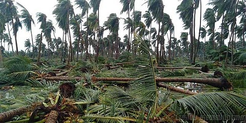 புயலால் பாதிக்கப்பட்டுள்ள மாவட்டங்களுக்கு 13 கூடுதல் அதிகாரிகள்