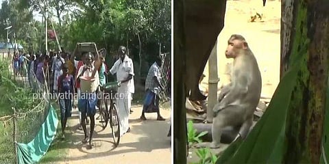 திடீரென பாய்ந்து கடிக்கும் குரங்கு : அச்சத்தில் ஊரை காலி செய்த மக்கள்