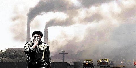 உயிரினங்கள் மீதான மிகப்பெரிய தாக்குதல்: சத்தமில்லாமல் உயிர்பலி வாங்கும் காற்றுமாசு!