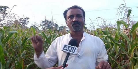 காட்டு விலங்குகளிடம் இருந்து பயிர்களை காக்க விவசாயியின் புத்திசாலி யோசனை