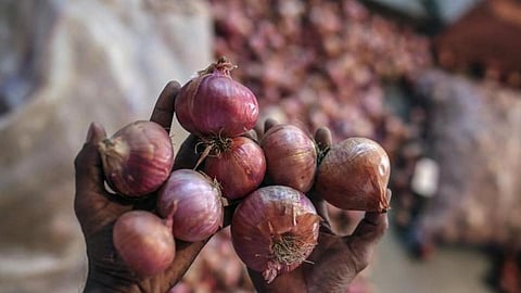 ஒரு கிலோ பெரிய வெங்காயம் ரூ.130-க்கு விற்பனை