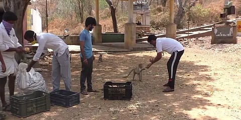 ஊரடங்கால் உணவின்றி தவித்த குரங்குகள்.. கருணை காட்டிய இளைஞர்கள் : குவியும் பாராட்டு..!