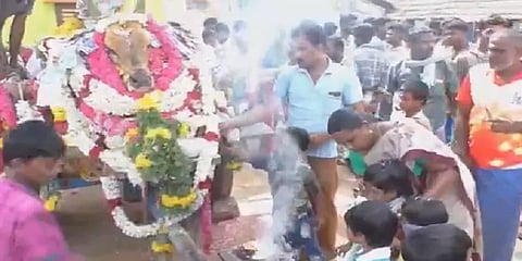 ஜல்லிக்கட்டு காளைக்கு இறுதிச் சடங்கு - ஊரடங்கை மீறியதாக 7 பேர் மீது வழக்குப்பதிவு