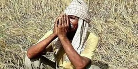 ஊரடங்கால் வறுமையில் சிக்கித் தவிக்கும் விவசாயிகள் : தீர்வுதான் என்ன..?