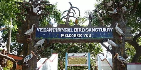 வேடந்தாங்கல் சரணாலயத்தை மேம்படுத்தவே பரப்பளவு குறைப்பு : தமிழக அரசு