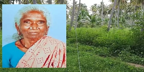 மதுரை: அறுந்து கிடந்த மின்கம்பியை மிதித்த மூதாட்டி பரிதாபமாக உயிரிழப்பு