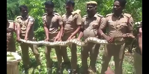 குடியிருப்புக்குள் புகுந்த 10அடி நீள மலைப்பாம்பு... பிடிக்க முயன்ற வீரரை கடித்ததால் அச்சம்