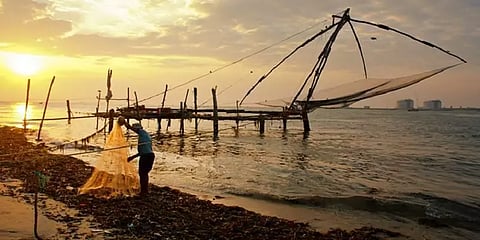தமிழ்நாடு மீன்வளப் பல்கலைக்கழகம்: இளநிலை மாணவர் சேர்க்கை அறிவிப்பு