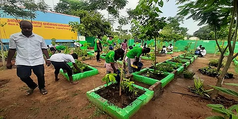 விடுமுறை காலத்தில் மூலிகை தோட்டம் அமைத்து பராமரித்து வரும் அரசுப் பள்ளி மாணவர்கள்