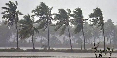 அடுத்த 6 மணி நேரத்தில் கடுமையான சூறாவளி புயல் - எச்சரிக்கும் மேலாண்மை ஆணையம்