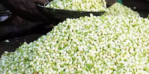 மதுரையிலேயே மல்லிப் பூ கிடைக்கவில்லை - கொட்டும் மழையில் வாங்க வந்த மக்கள் ஏமாற்றம்