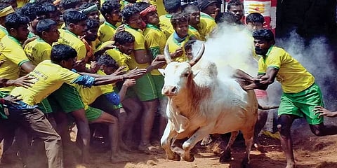 டாப் 10 செய்திகள்: பொங்கல் கொண்டாட்டம் முதல் மீண்டும் ட்ரம்ப் பதவி நீக்கம் தீர்மானம் வரை!